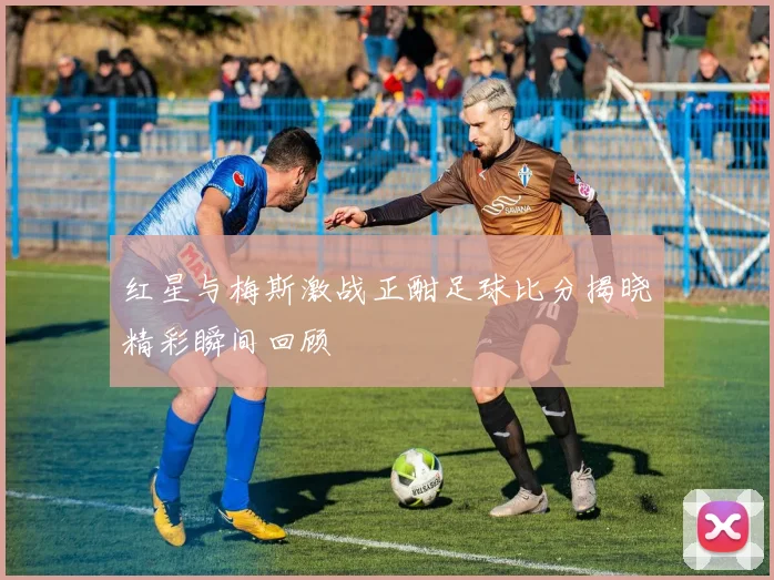 红星与梅斯激战正酣足球比分揭晓精彩瞬间回顾