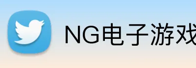 NG电子游戏 Logo